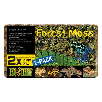 Наповнювач для тераріума Exo Terra «Forest Moss» 7 л (мох)