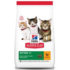 Сухой корм Hill's Science Plan Kitten для котят, с курицей, 300 г