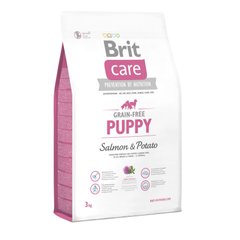 Сухий корм для цуценят всіх порід Brit Care GF Puppy Salmon & Potato