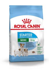 Сухий корм для цуценят мініатюрних порід Royal Canin Mini Starter 1 кг (домашня птиця)