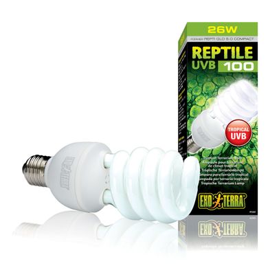 Компактная люминесцентная лампа Exo Terra «Reptile UVB 100» для облучения лучами УФ-В спектра 26 W, E27 (для облучения)