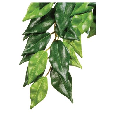 Декорація для тераріума Exo Terra рослина «Ficus» M (шовк)