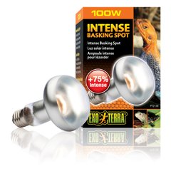 Рефлекторная лампа накаливания Exo Terra «Intense Basking Spot» 100 W, E27 (для обогрева)