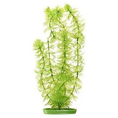 Декорація для акваріума Marina AquaScaper рослина «Ambulia» 20 см (пластик)
