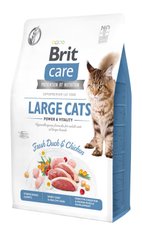 Сухий корм для котів великих порід Brit Care Cat GF Large cats Power & Vitality, 2 кг