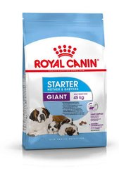 Сухой корм Royal Canin Giant Starter для кормящих собак гигантских пород, 4 кг