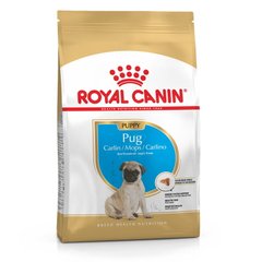 Сухой корм Royal Canin Pug Puppy для щенков мопса до 10 месяцев, 1,5 кг