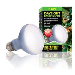 Лампа накаливания с неодимовой колбой Exo Terra «Daylight Basking Spot» 75 W, E27 (для обогрева)