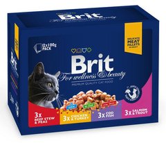 Вологий корм Brit Premium Cat pouch асорті 4 смаки для котів 100 г 12 шт
